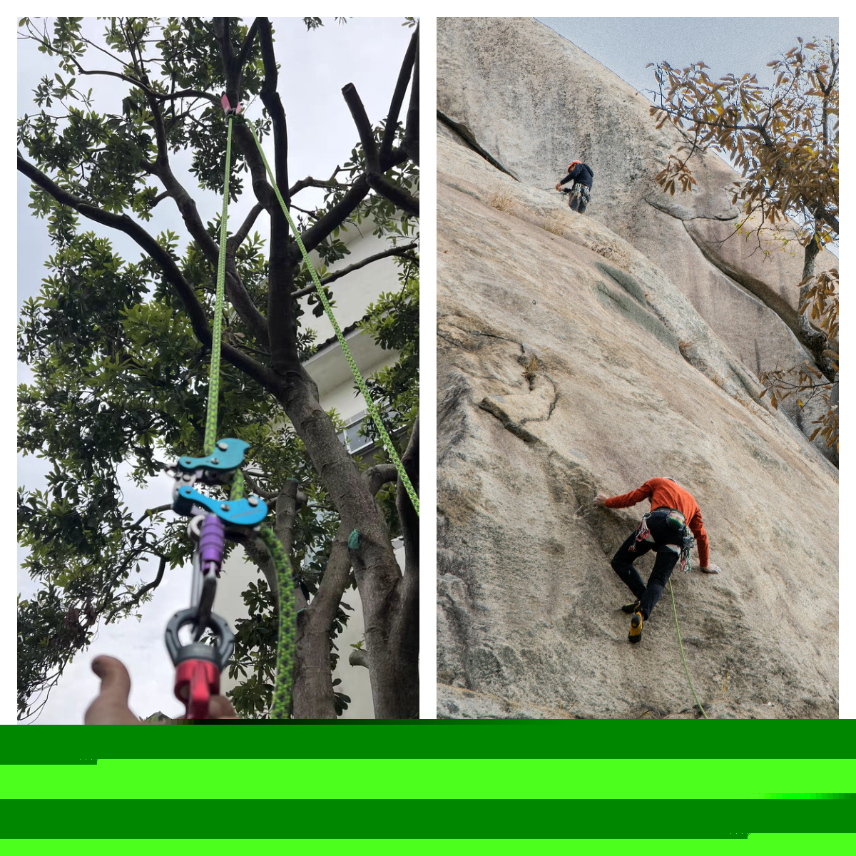 Climbing Rope vs Arborist Rope: What’s the Difference and Which to Use?
